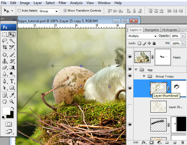 hippo, photoshop, nest, egg, shell, flying hippo, cute, baby, wings, hippopotamus, feathers